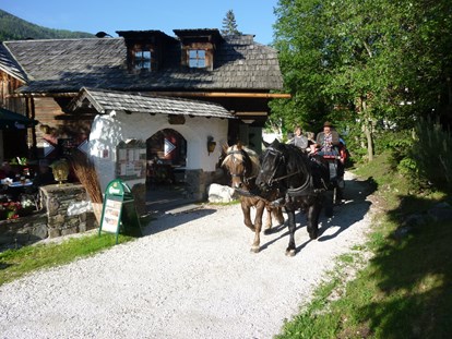 Wanderurlaub - Hotel-Schwerpunkt: Wandern mit Kindern - Pferdekutschen-Erlebnisfahrten - Hotel GUT Trattlerhof & Chalets****
