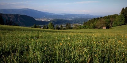 Wanderurlaub - Umgebungsschwerpunkt: am Land - Kärnten - Ausblick vom Naturgut - Naturgut Gailtal