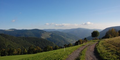 Wanderurlaub - Deutschland - Panorama Lodge Sonnenalm Hochschwarzwald
