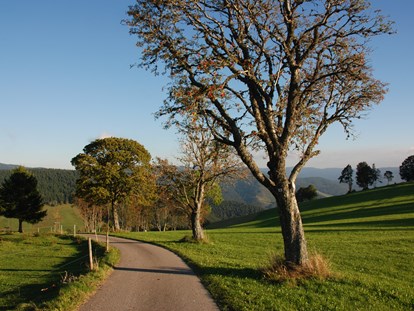 Wanderurlaub - Umgebungsschwerpunkt: Berg - Panorama Lodge Sonnenalm Hochschwarzwald