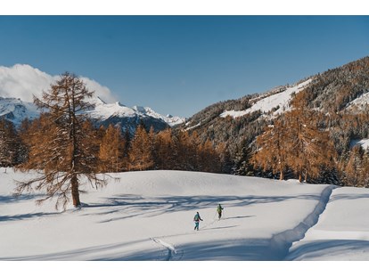 Wanderurlaub - Schwierigkeit Klettersteig: C - Kärnten - Skitour am Stubeck - Pirker’s Natur & Bio Familienhotel