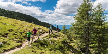Wanderurlaub - Wandern mit Kinderwagen - Kärnten - Genusshotel Almrausch