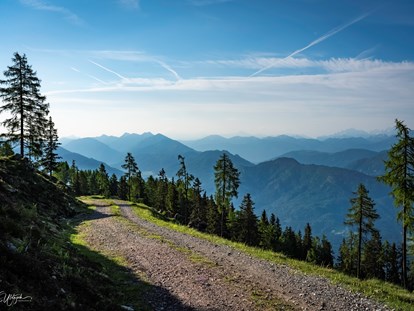 Wanderurlaub - Wandertaxi - Kärnten - Wanderweg Emberger Alm, eine der vielen  - Sattleggers Alpenhof & Feriensternwarte