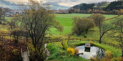 Wanderurlaub - Steiermark - Blick zum Fischteich - Hotel Landsitz Pichlschloss