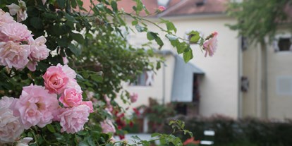 Wanderurlaub - Steiermark - Rosenpracht im Pichlschloss - Hotel Landsitz Pichlschloss