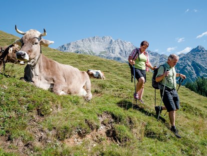 Wanderurlaub - Österreich - Wandern im Saalachtal - Familien und Vitalhotel Mühlpointhof ***S
