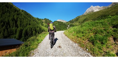Wanderurlaub - Tiroler Unterland - geführte E-Bike Touren - das Alois ****s