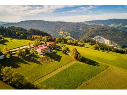 Wanderurlaub - Steiermark - Lage Hotel - Der Almblick****