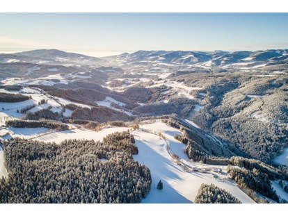 Wanderurlaub - Steiermark - Winterlandschaft beim Almblick - Der Almblick****
