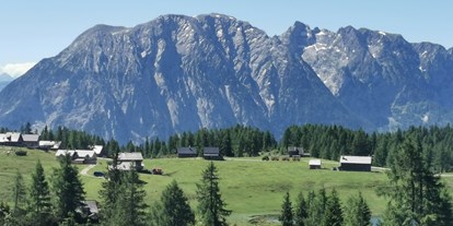 Wanderurlaub - Steiermark - Berggasthof Hollhaus