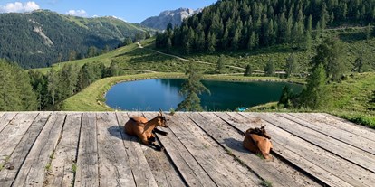 Wanderurlaub - Hunde: auf Anfrage - Kärnten - Chalets und Apartments Hauserhof