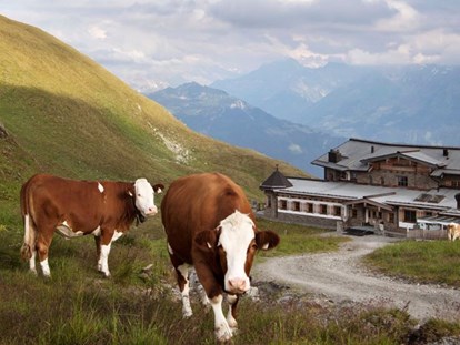 Wanderurlaub - Tirol - Hochalpines Almgebiet, Wandergebiet Hochzillertal, Kaltenbach, Zillertal, Zillertaler Höhenstrasse, Gipfel Wimbachkopf, Gipfel Marchkopf, Gipfel Gedrechter - Wedelhütte Hochzillertal