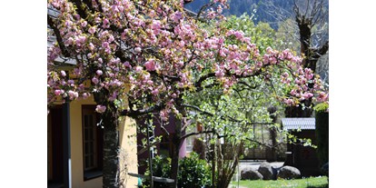Wanderurlaub - Tiroler Oberland - Garten - Die Lilie - Hotel Garni