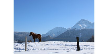 Wanderurlaub - Tiroler Oberland - Winterwandern - Die Lilie - Hotel Garni