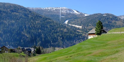 Wanderurlaub - Wanderschuhe: 1 Wanderschuh - Kärnten - Haus Kremser