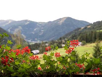 Wanderurlaub - Umgebungsschwerpunkt: Berg - Wunderbarer Weitblick vom Balkon aus
©️ Rupert Mühlbacher - Hotel St. Oswald