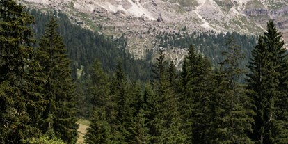 Wanderurlaub - Dolomiten - Moseralm Dolomiti Spa Resort