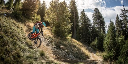 Wanderurlaub - Italien - Brixen Bike Wald - Hotel Masl