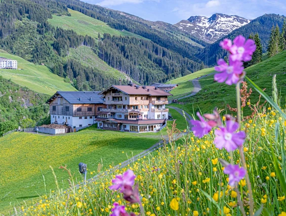 Wanderhotel: Wanderurlaub in Österreich in den Kitzbühler Alpen - Ferienwohnungen Perfeldhof