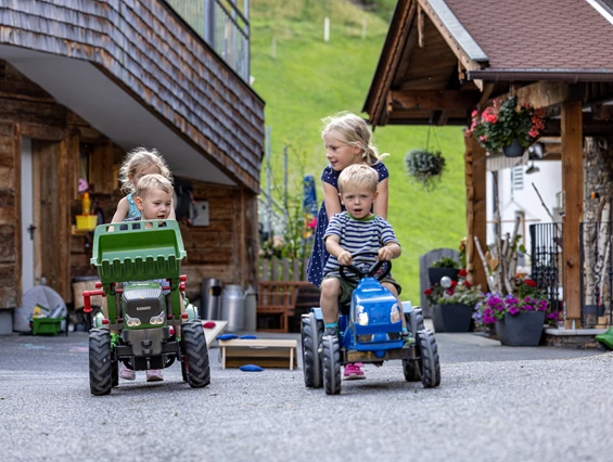 Wanderhotel: Kinderfreundlicher Sommerurlaub in Österreich - Ferienwohnungen Perfeldhof