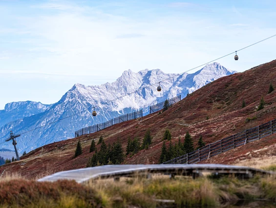 Wanderhotel: Hacklberg-Wanderung im Herbst - Ferienwohnungen Perfeldhof