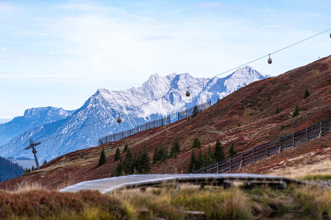 Wanderhotel: Hacklberg-Wanderung im Herbst - Ferienwohnungen Perfeldhof